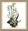 Flower Cart Florist, 1425 N Broadway Ave, Bartow, FL 33830, (863)_533-8861